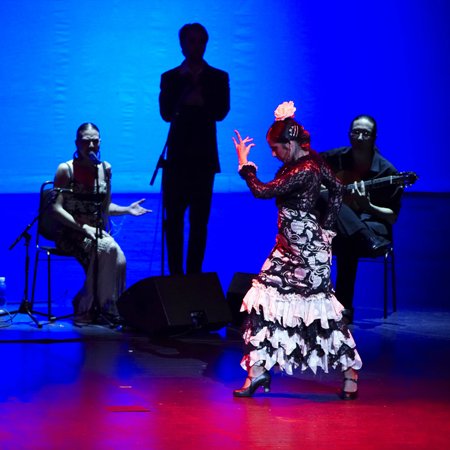 Rocio Santiago Bailaora Flamenco